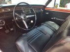 Thumbnail Photo 3 for 1967 Chevrolet El Camino V8